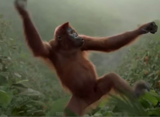 School is Starting – Does this happy dance feel familiar?