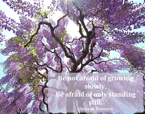 Be not afraid….